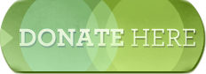 Donate Now donate